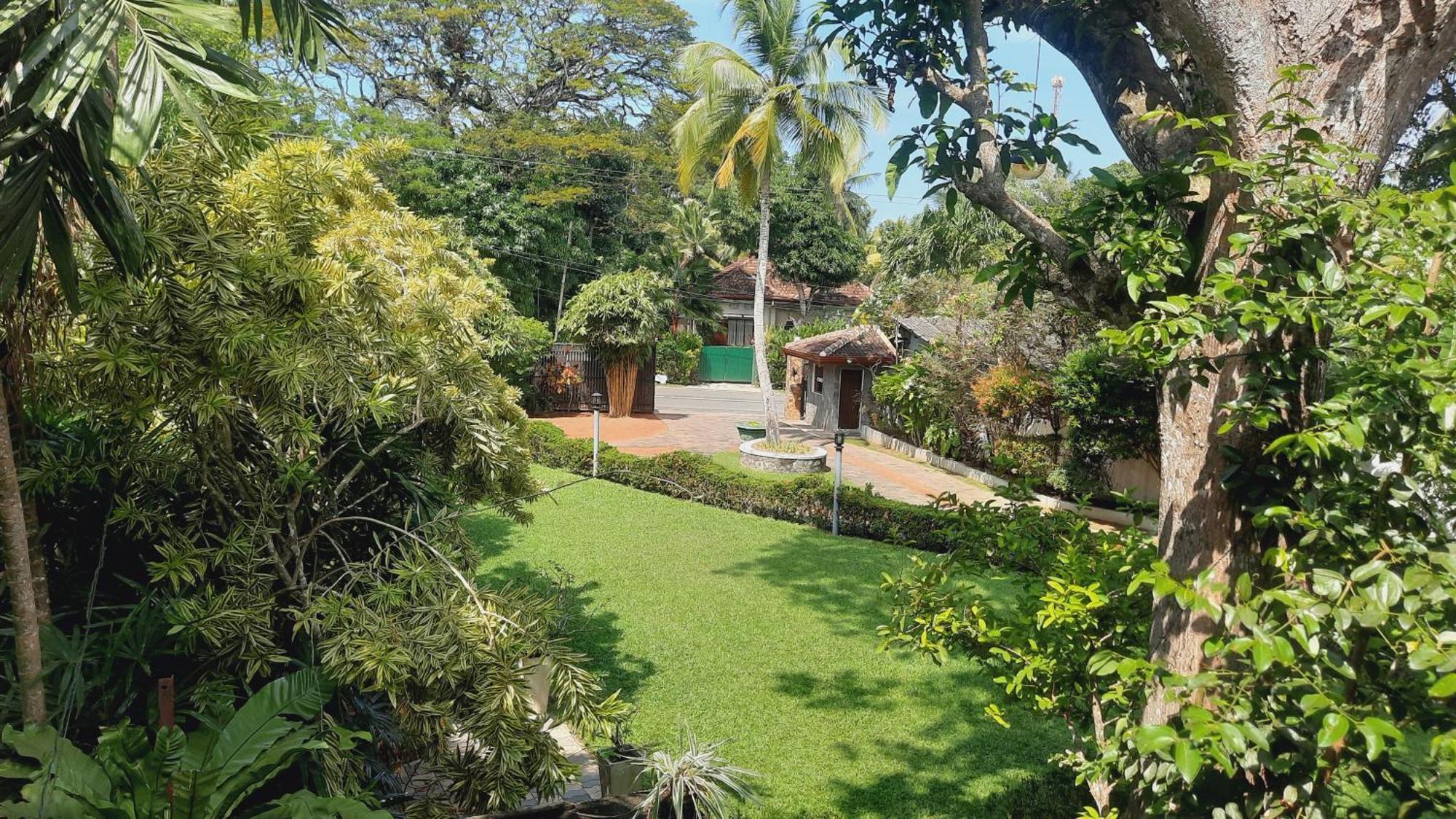 Rockery Villa Ayurveda Bentota Exterior foto